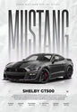 Mustang Shelby GT500